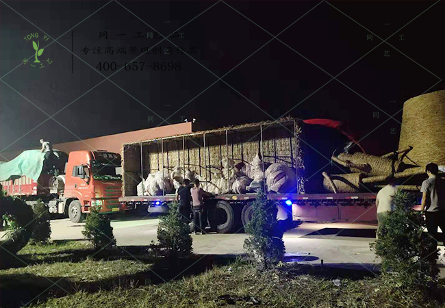 山西稻草工藝品草雕發(fā)貨 山西稻草工藝品草雕發(fā)貨