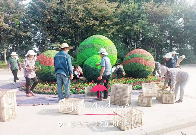 70周年主題仿真綠雕造型施工現(xiàn)場 70周年主題仿真綠雕造型施工現(xiàn)場