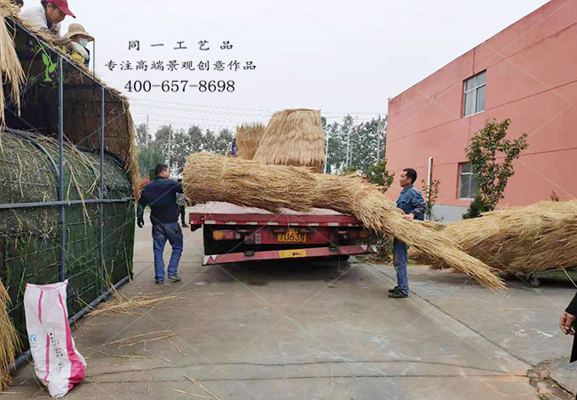 蘇州稻大型草工藝品發(fā)貨 蘇州稻大型草工藝品發(fā)貨